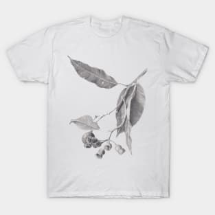 Eucalyptus tree branch with gum nuts - graphite drawing T-Shirt